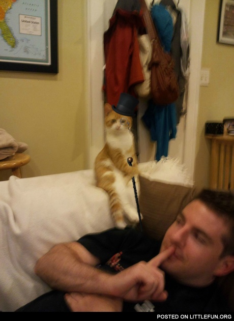 Like a sir
