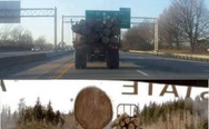Every time I drive behind one of these