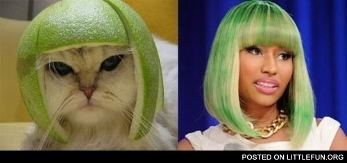 Nicki Minaj vs. Cat