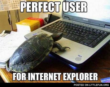 Perfect user for IE