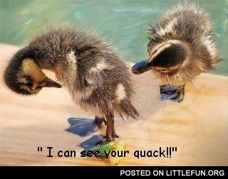 I can see your quack