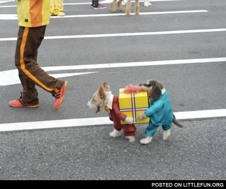 Awesome dogs costume
