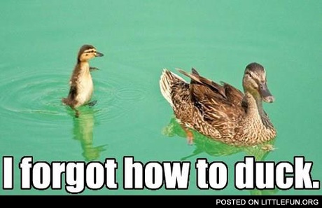 I forgot how to duck