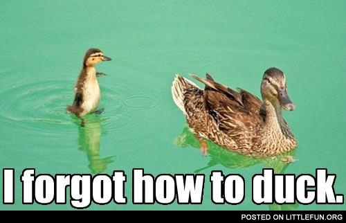 I forgot how to duck