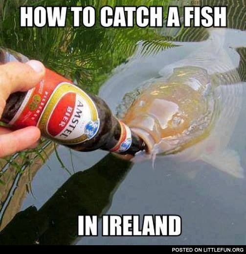 How to catch a fish in Ireland