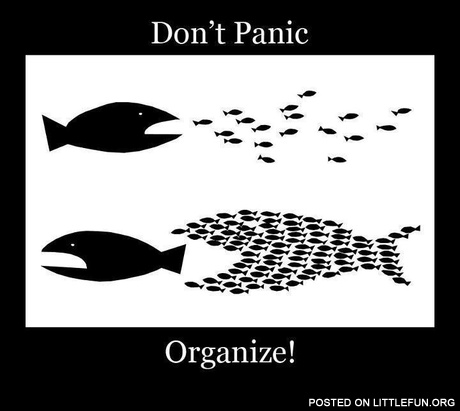 Don't panic, organize!