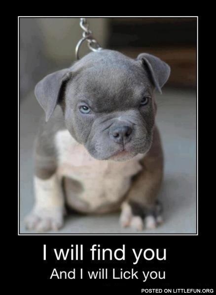 I will find you and I will lick you