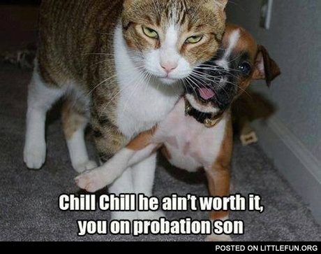 Chill