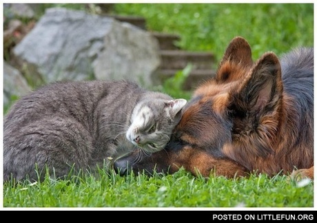 Friends
