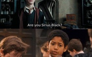Are you Sirius Black?