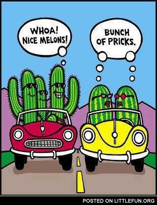 Nice melons