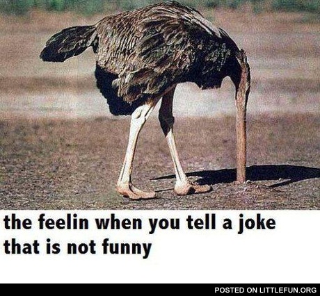 When you tell a joke that is not funny