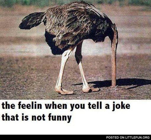 When you tell a joke that is not funny