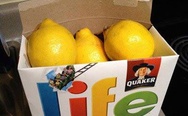 Lemons and life