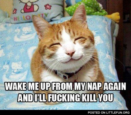 My nap