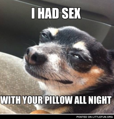 I had sex with your pillow