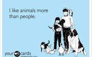I like animals more than people