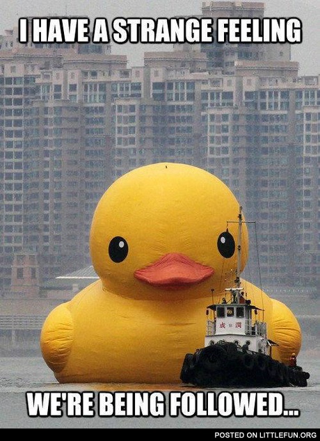 Duck and the boat