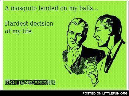 A mosquito