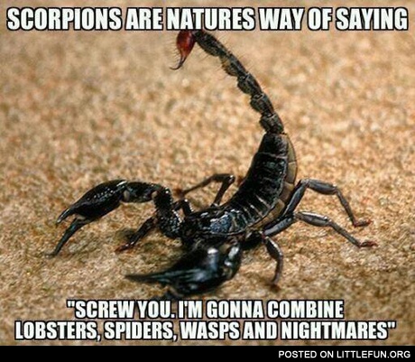 Scorpions