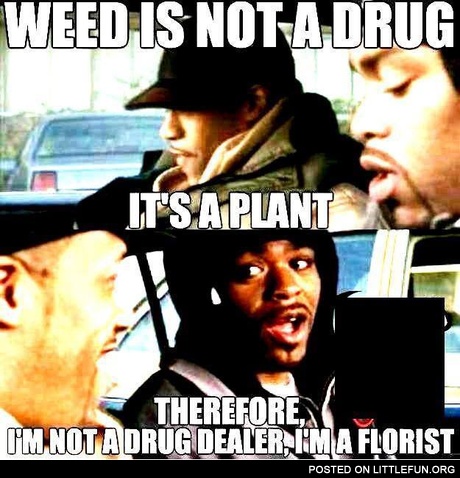 It's a plant