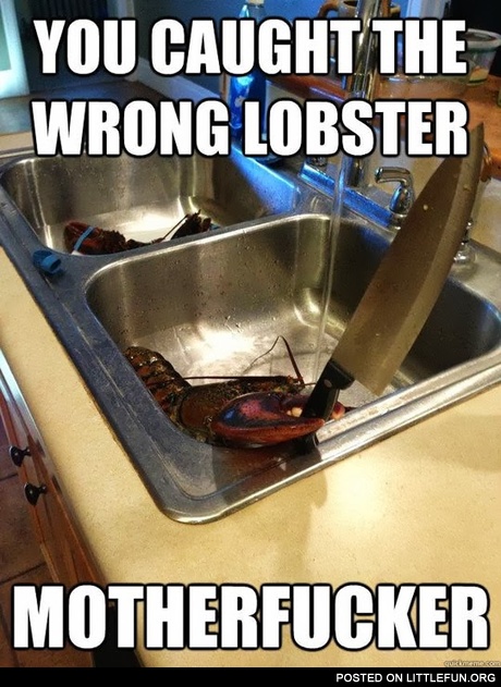 You caught the wrong lobster