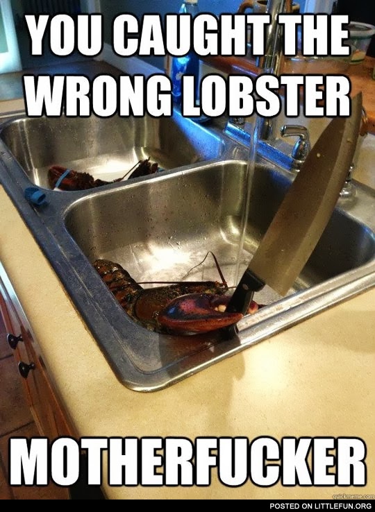 You caught the wrong lobster