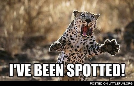 I've been spotted