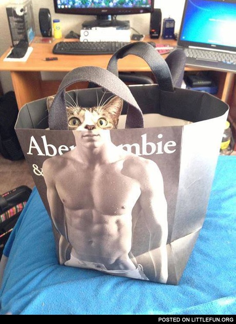 Weird cat