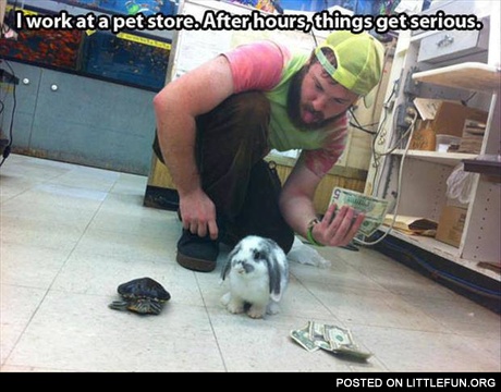 I work at the pet store