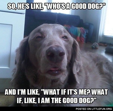 What if I am the good dog?
