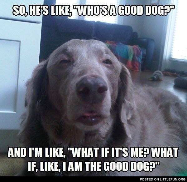 What if I am the good dog?
