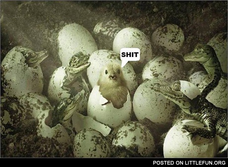 You were born in the wrong neighborhood