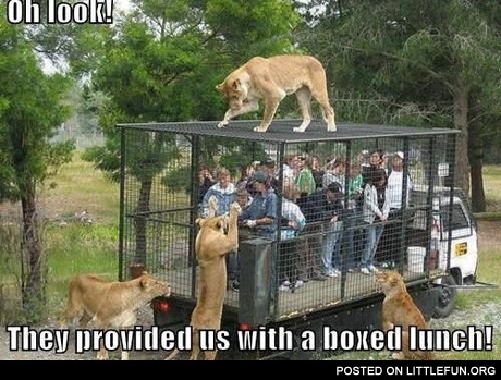 Boxed lunch
