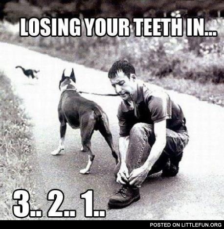 Losing your teeth in 3..2..1..