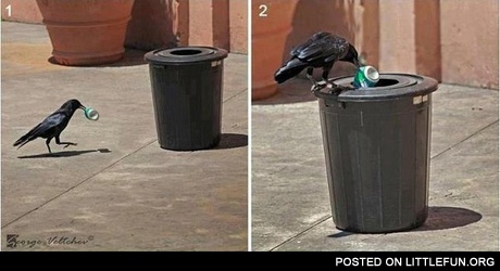 Smart crow