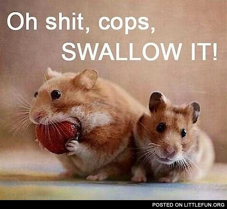 Cops, swallow it