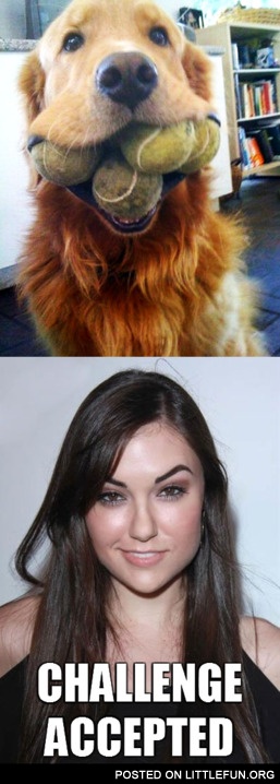 Sasha Grey