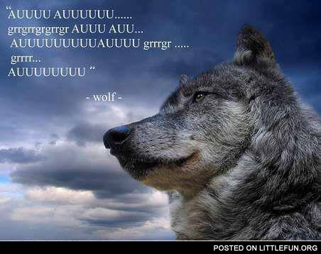 Wolf