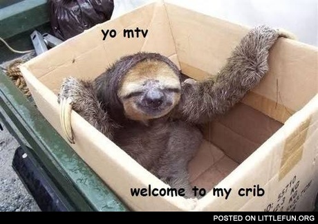 Welcome to my crib