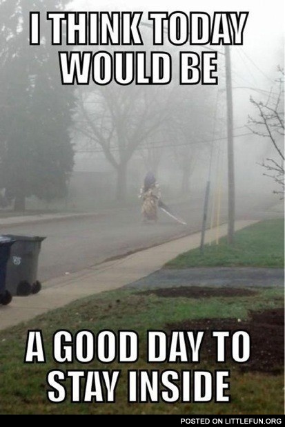 A good day to stay inside