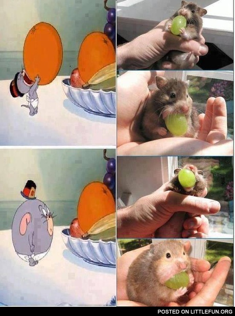 Tom and Jerry
