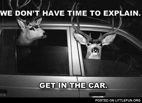 No time to explain, get in the car