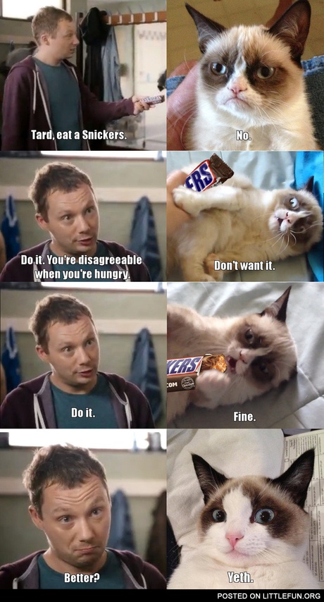 Grumpy cat and Snickers