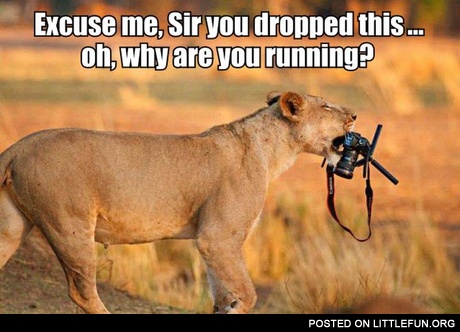 You dropped your camera