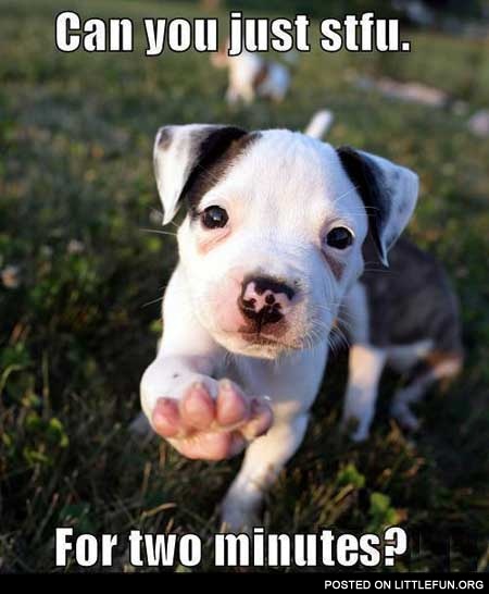 Rude puppy
