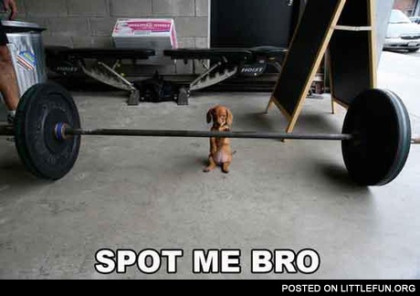 Spot me bro