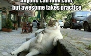 Anyone can be cool, but awesome takes practice