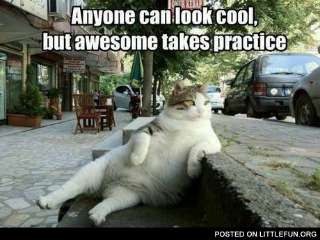 Anyone can be cool, but awesome takes practice