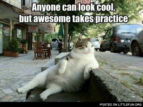 Anyone can be cool, but awesome takes practice